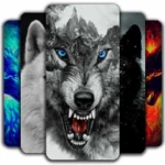 wolf wallpaper android application logo